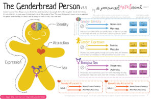 Genderbread-Person-3.3[1].jpg